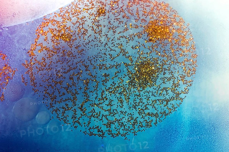 Oil bubbles inside water base form patterns