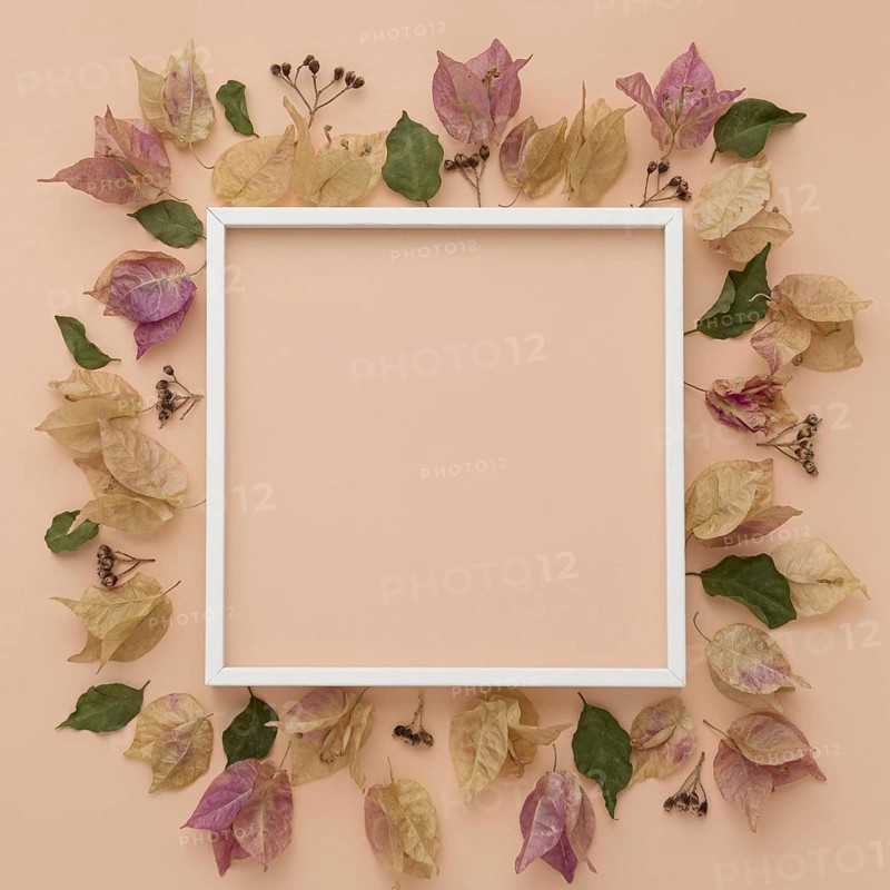 Top view of colorful autumn leaves with frame. Resolution and high quality beautiful photo