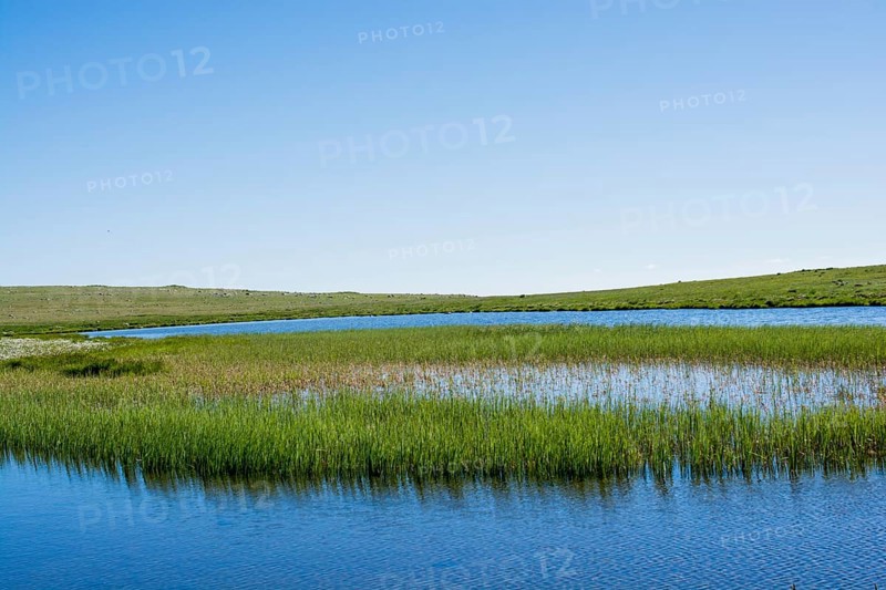 Highland lake in green natural background in Artvin province of Turkey
