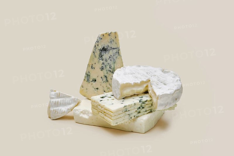 Various types of blue mold cheese