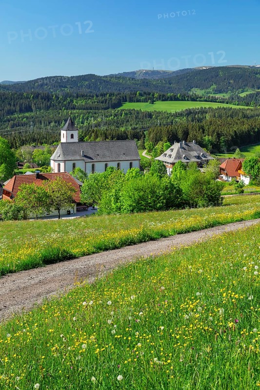 View over Breitnau to the Feldberg in spring