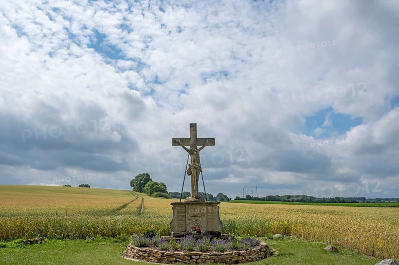 Field cross