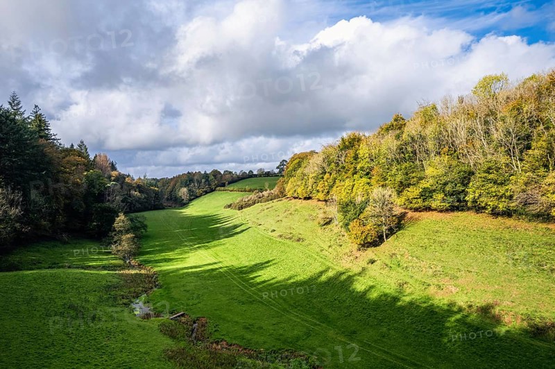 Forests and Farms over Berry Pomeroy