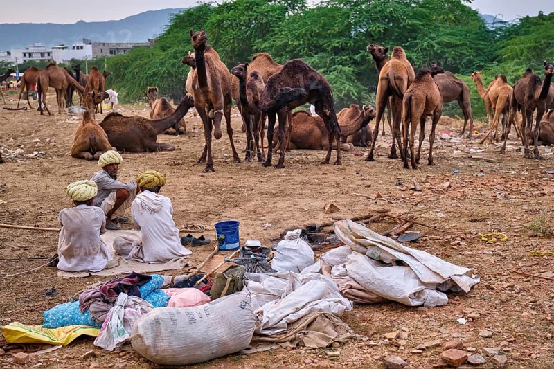 Pushkar