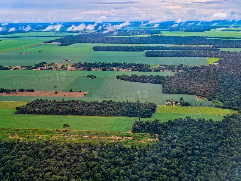 Aerial of the giant soy fields around Sinop