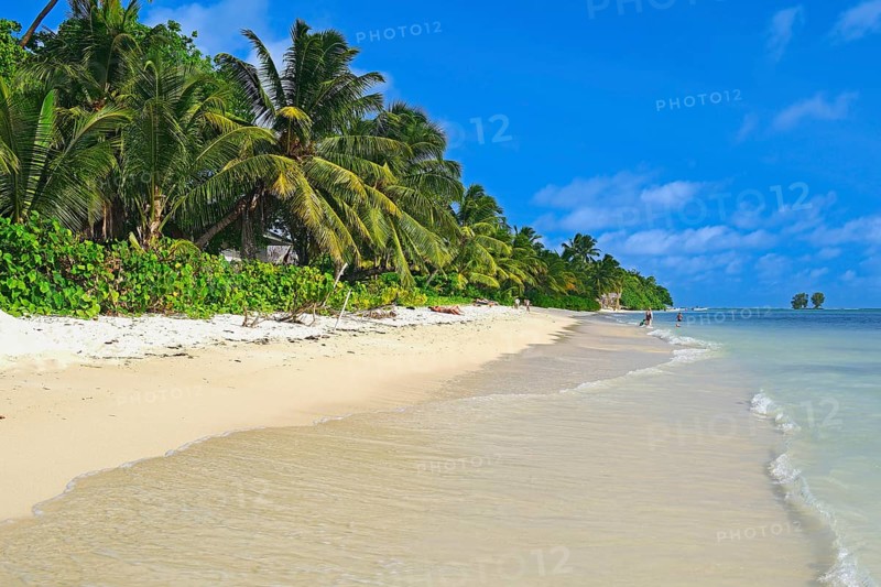Dream beach Anse La Reunion