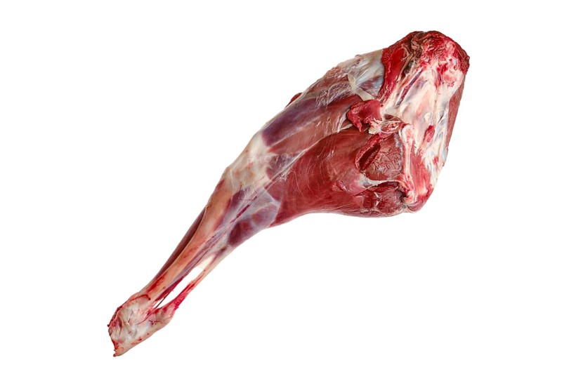 Raw hind quarter of deer leg isolated on white