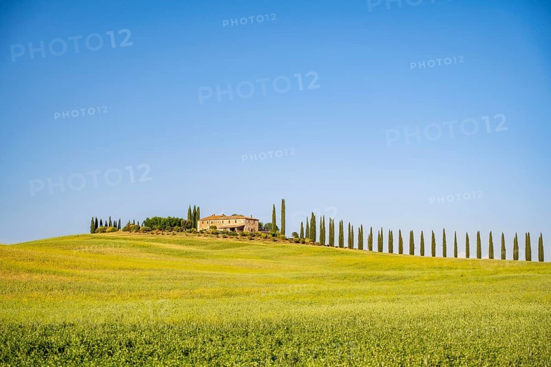Poggio Covili estate with cypress