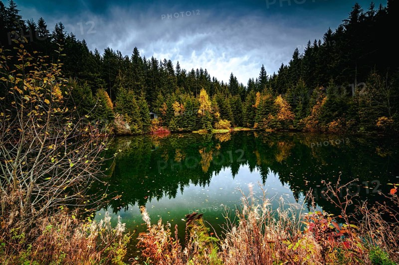 The river "Weisse Sehma" forms a small pond in the middle of the spruce forest in the Ore Mountains below the Fichtelberg