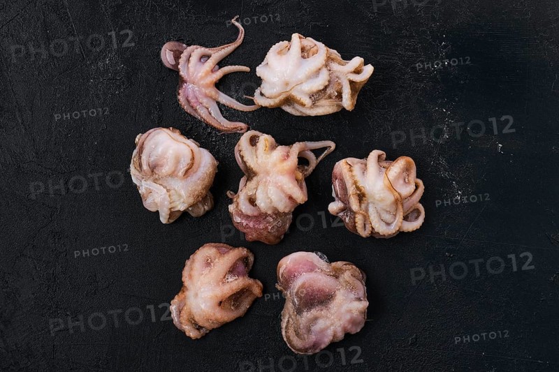 Small frozen octopus on black concrete background