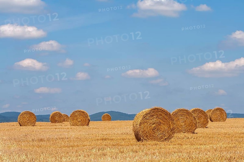 Stubble field with straw rolls