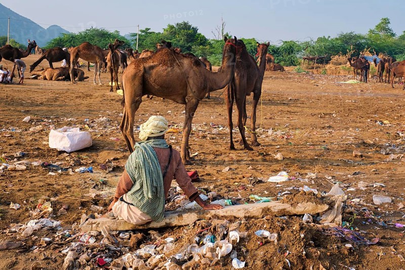 Pushkar