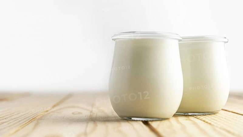 Front view plain yogurt in jars