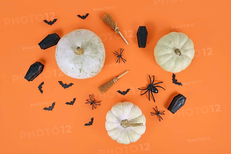 Halloween arrangement with white pumpkins