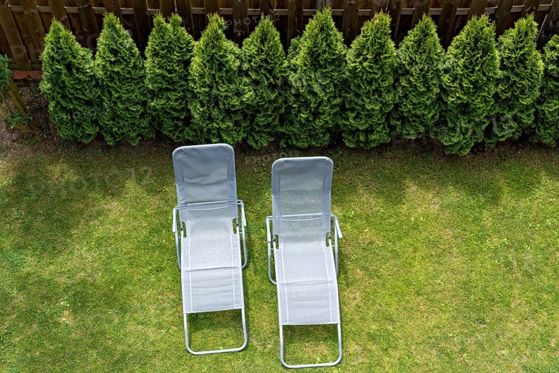 Two garden loungers in a meadow