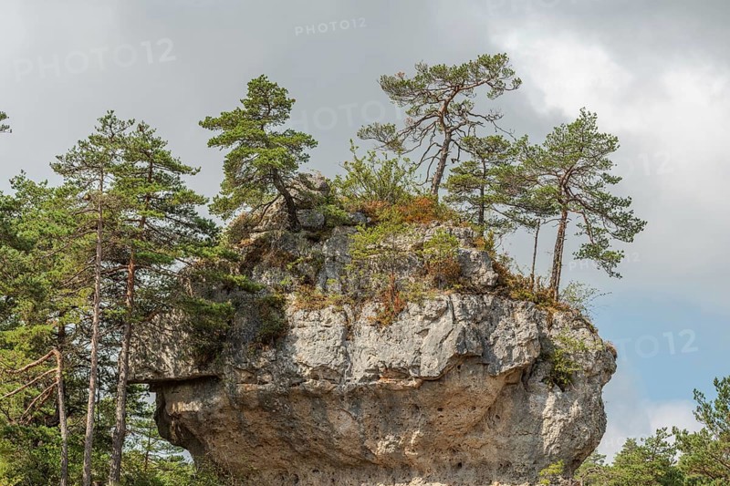Wild landscape in Cevennes National Park