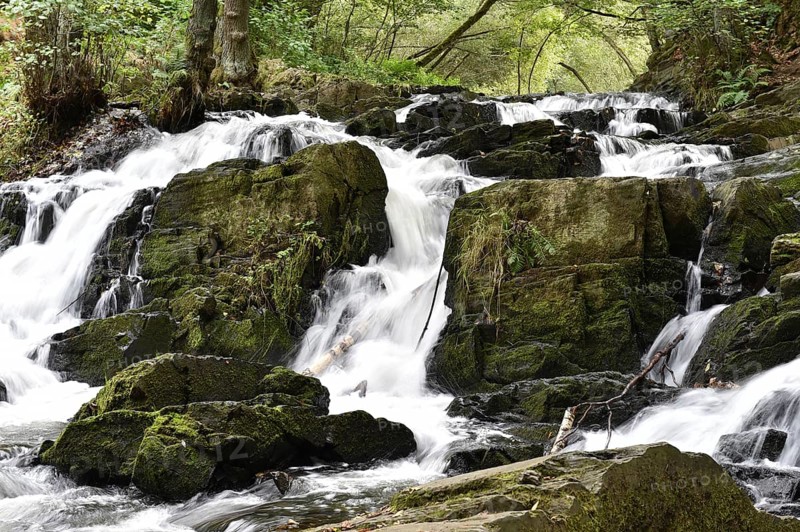 The Selke Falls Waterfall in the Harz Mountains
