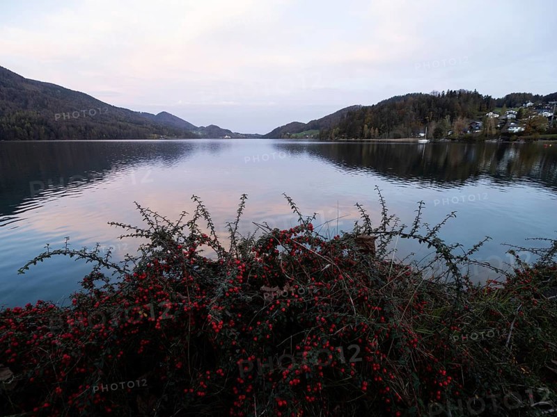 Morning atmosphere at Lake Fuschl