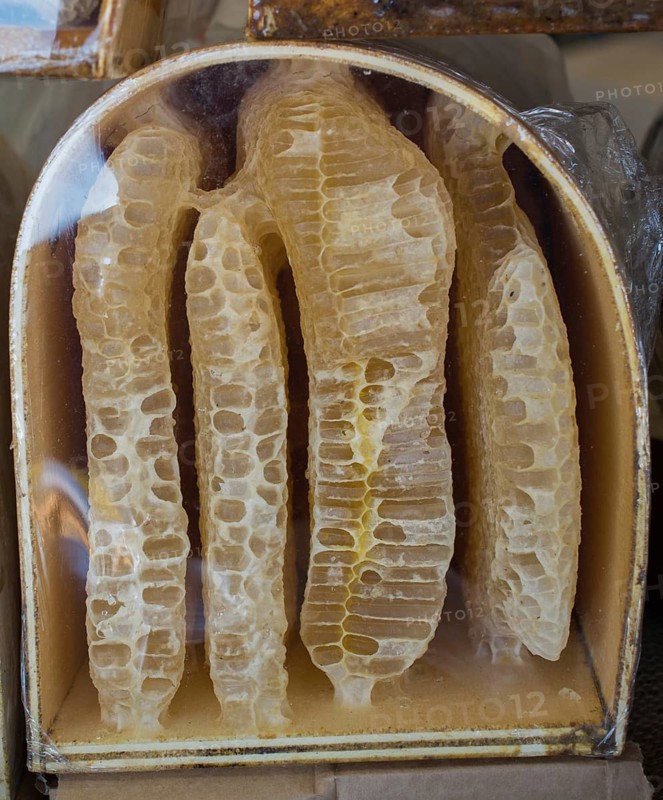 Sweet fresh honey in the sealed comb frame
