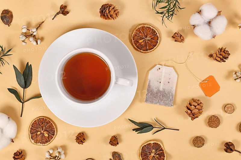 Tea cup surrounded by seasonal forest decoration on beige background