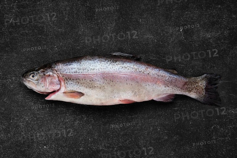 Overhead view of whole fresh raw trout