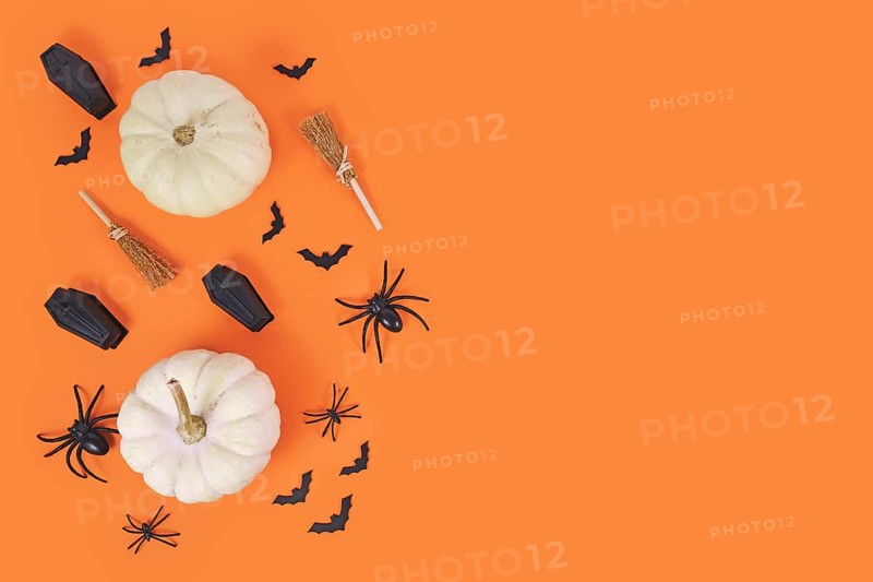 Halloween arrangement with white pumpkins