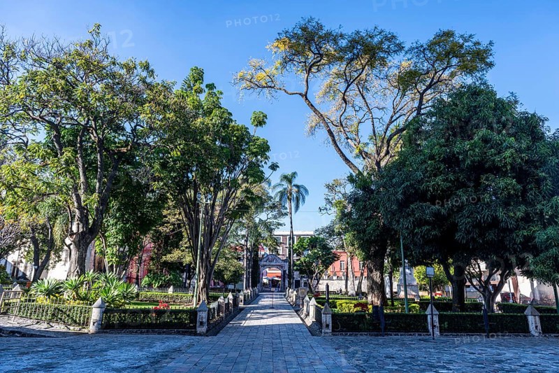 Cathedral of Cuernavaca