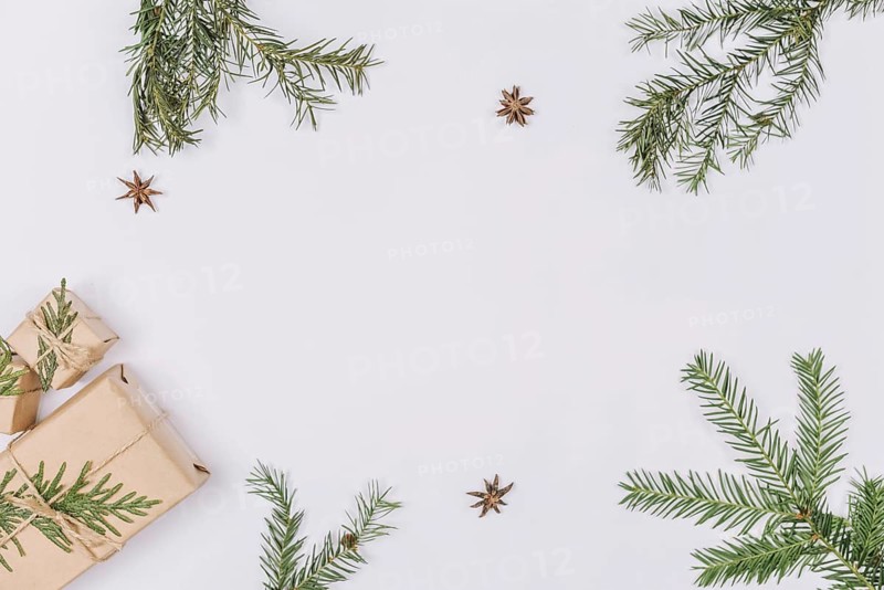 Fir tree branches presents forming frame