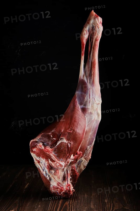 Raw hind quarter of deer leg over dark background