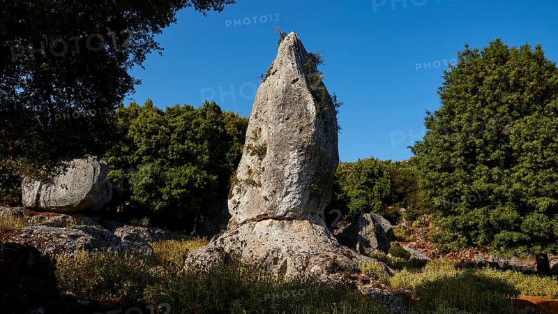 Monolith