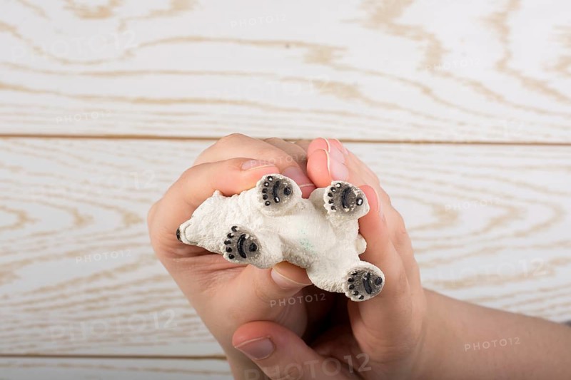 Hand holding a Polar bear model on a wooden background