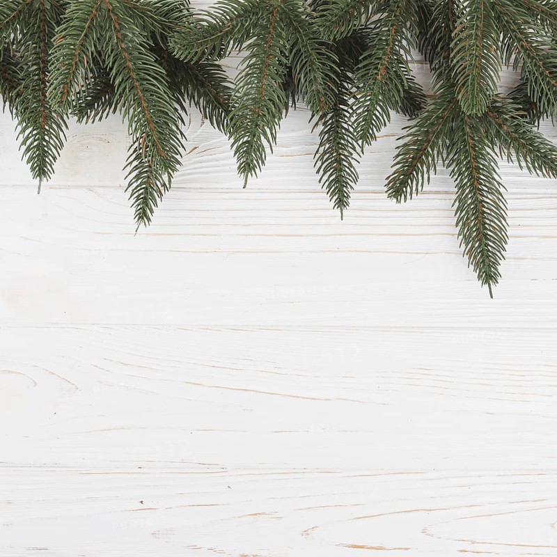 Green fir tree branches table