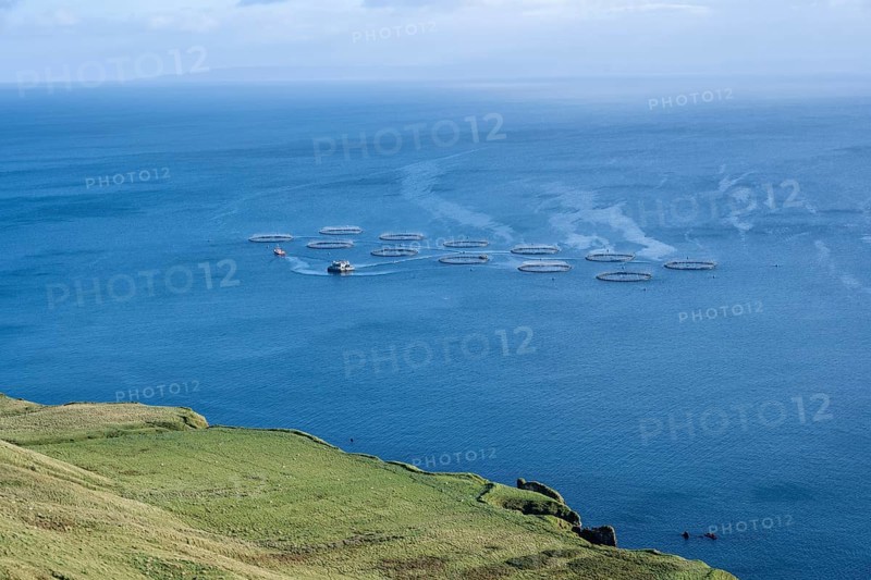 Fish farm in the sea
