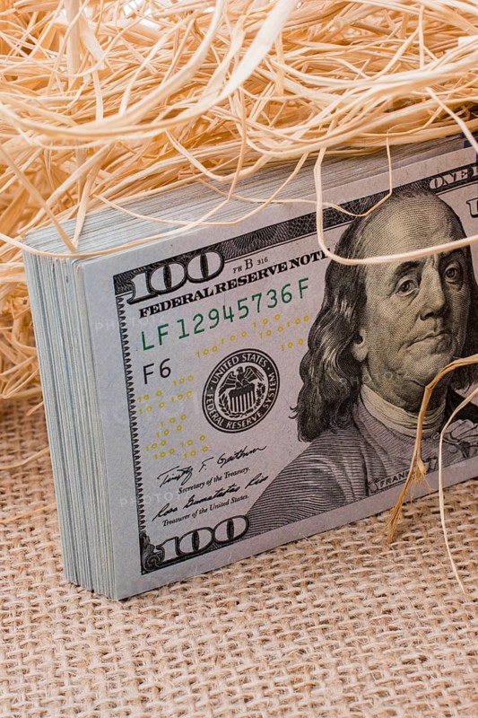 Banknote bundle of US dollar in a straw pile on canvas