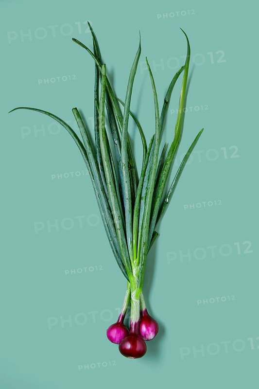 Fresh spring red onion with tops