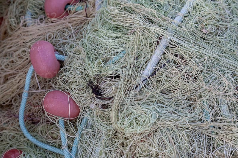 Fishing nets