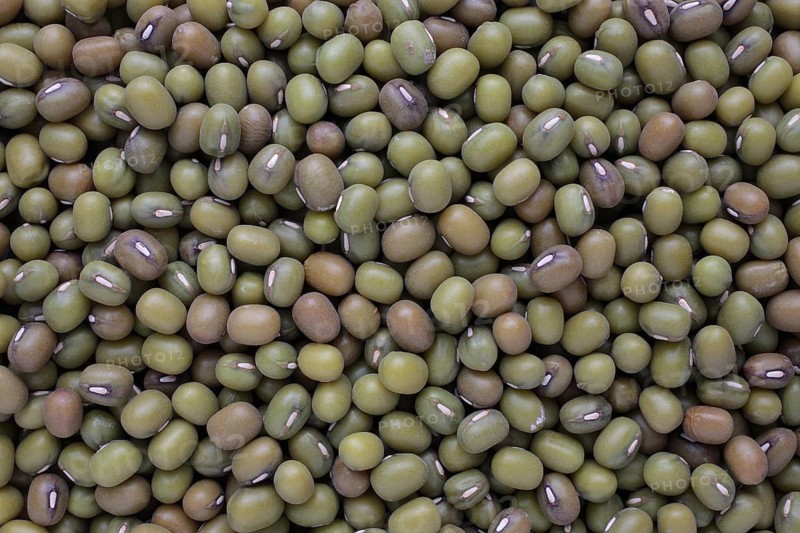 Mung bean