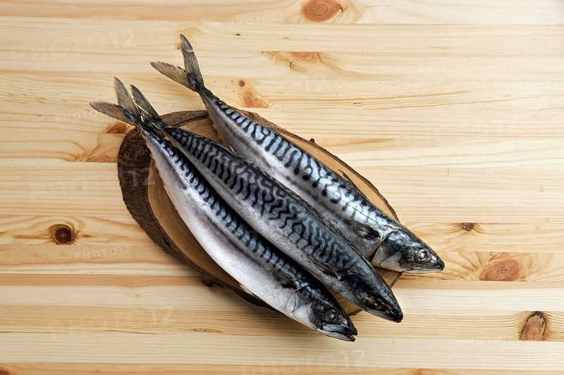 Frozen mackerel on wooden table