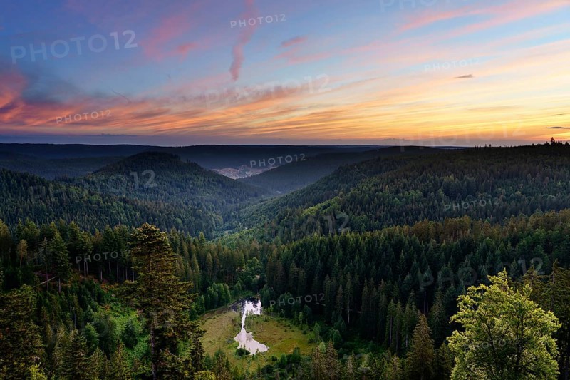 View from the Ellbachseeblick viewing platform
