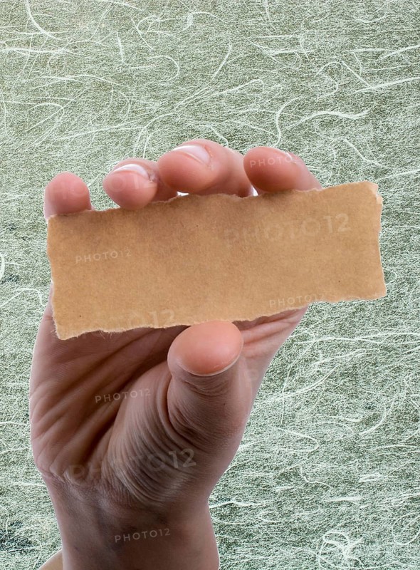 Hand holding a piece of blank torn notepaper