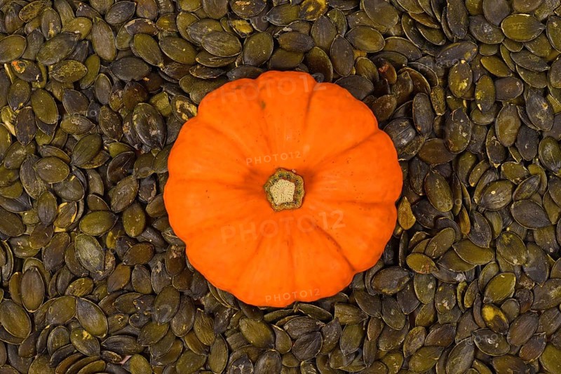 Small orange squash surrounded by green pumpkin seeds