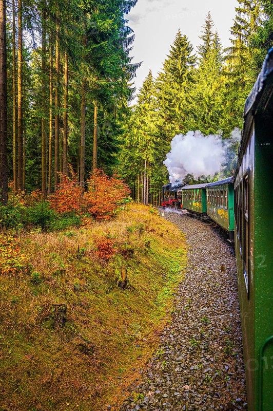 The Fichtelberg Railway travels through the coniferous forest in the Ore Mountains in autumn