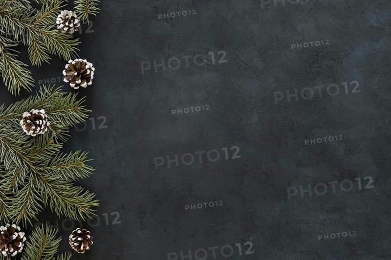 Chalkboard with pine needles cones
