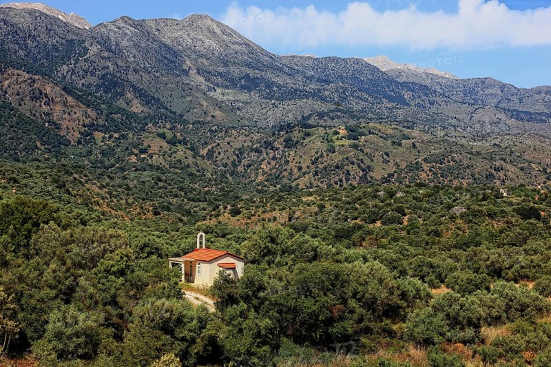 Small church surrounded by olive trees in the Levka Ori area