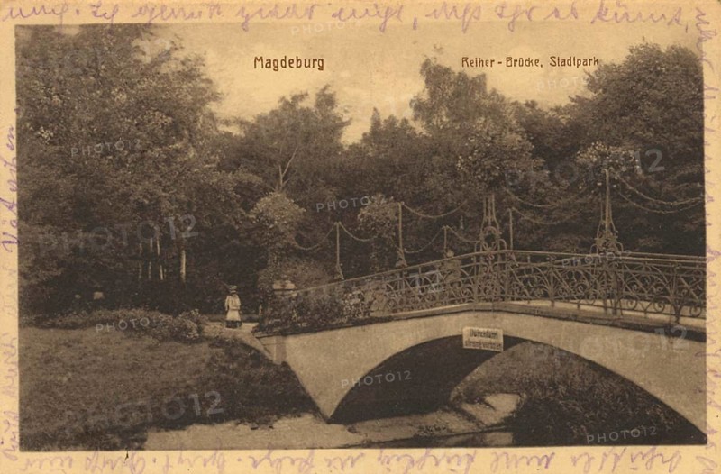 The bridge in the municipal park