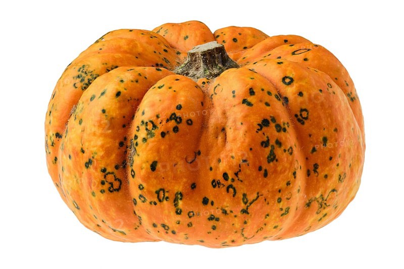 Mini carnival squash pumpkin isolated on white background
