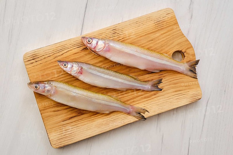 Top view of raw fresh smelt fish on wooden cutting board