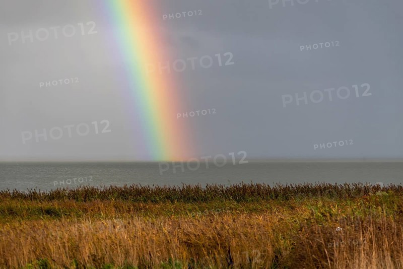 Rainbow over the Wadden Sea National Park