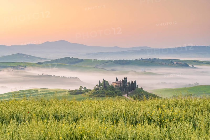 Podere Belvedere
