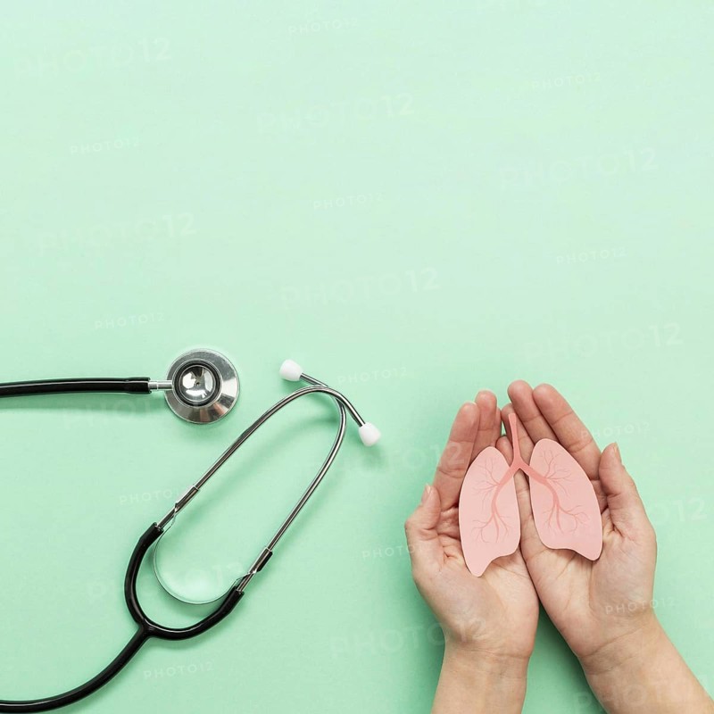 Stethoscope hands with miniature lungs. Resolution and high quality beautiful photo